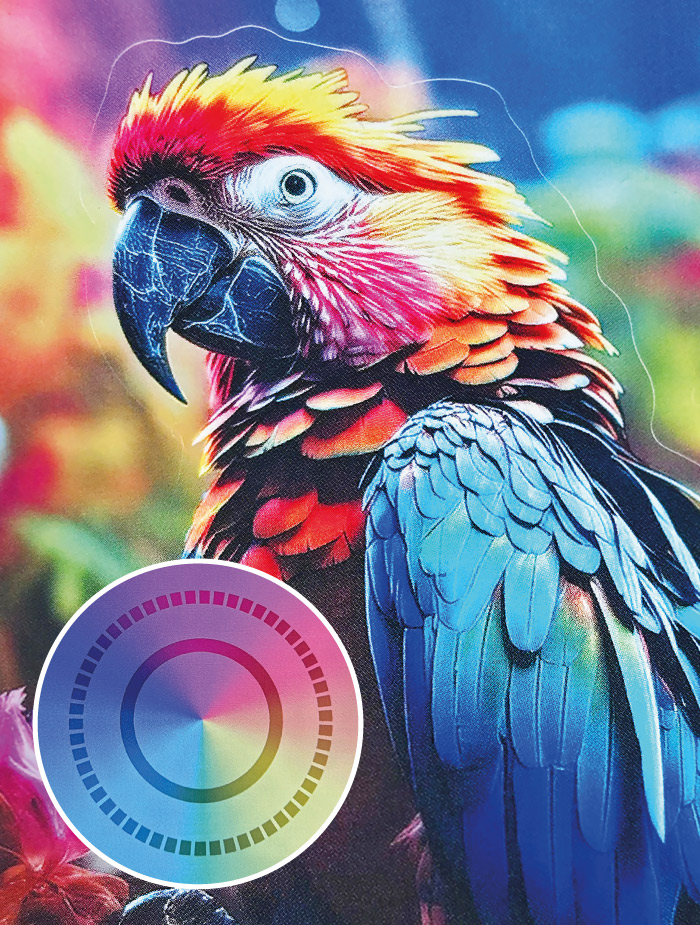 Polipropileno-transparente-50μm-(soporte-PET-transparente)