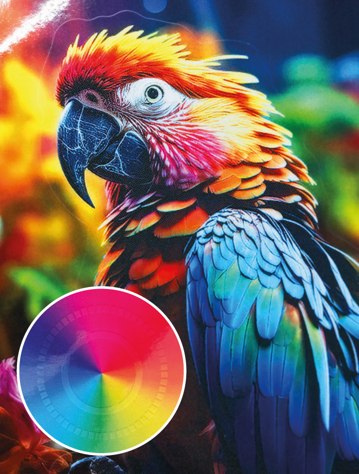 Polipropileno-transparente-60μm