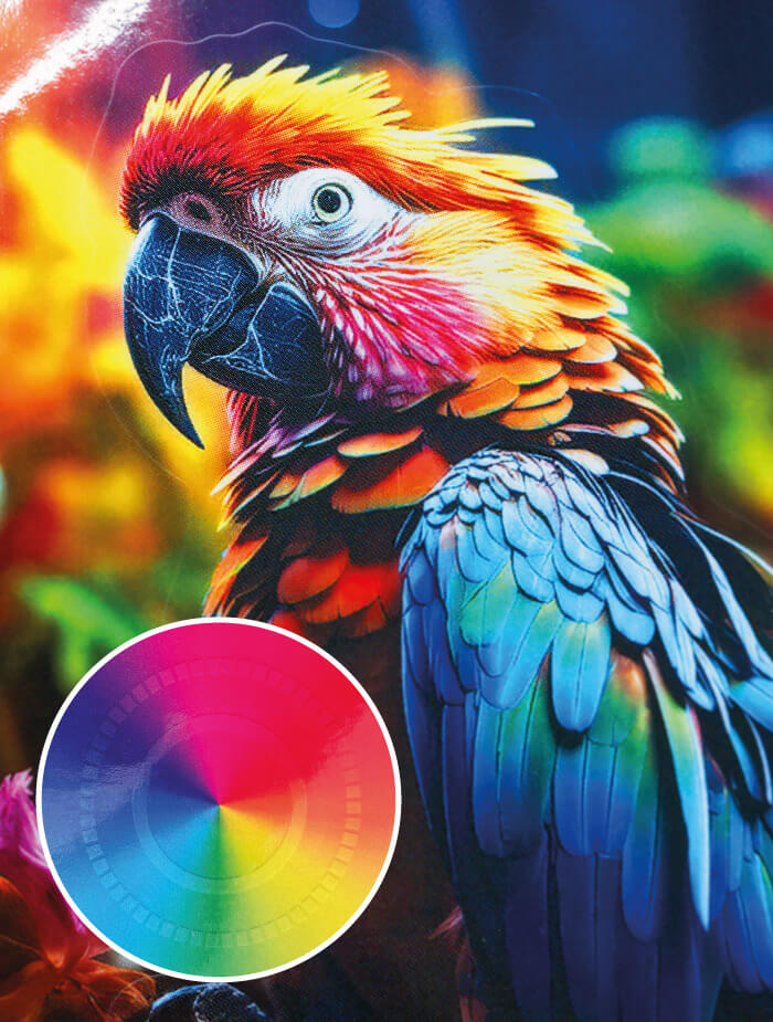 PP-folie_transparant_60µm_(papieren_draagmateriaal)