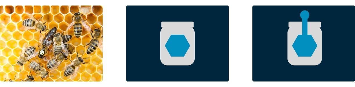 Types-of-labels-hexagonal-labels
